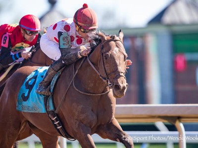 Preview: Gr.1 Metropolitan Handicap Stakes 2018 Image 4