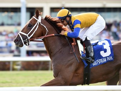 Preview: Gr.1 Woodford Reserve Manhattan Stakes 2018 Image 4