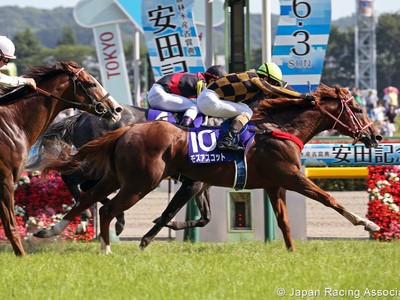 Review: Yasuda Kinen 2018 Image 1