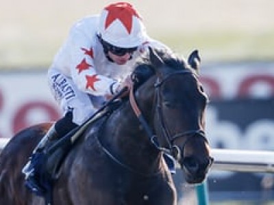 Walk In The Sun Changes Yards And Heads To Royal Ascot Image 1