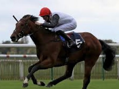 Eminent and Cracksman To Clash At Royal Ascot Image 3