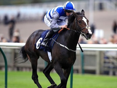 Eminent and Cracksman To Clash At Royal Ascot Image 2