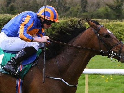 Donnacha O'Brien Hopes To Ride Order Of St George In The Roy ... Image 1