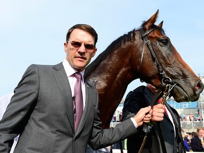 American Pharaohs brother Makes Irish Debut Image 1