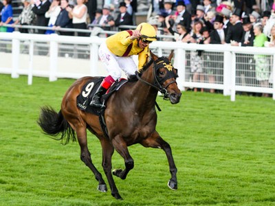 Five International Raiders To Watch For At Royal Ascot 2018 Image 1