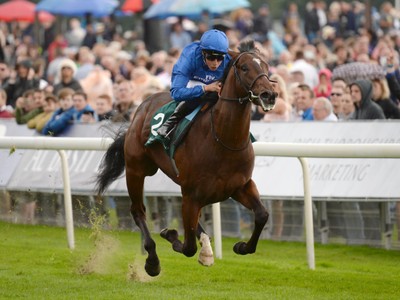 Appleby hoping to prove a Point Royal Ascot 2018 Image 2