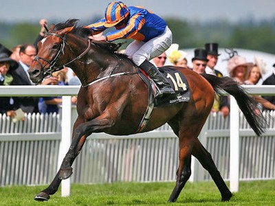 Order Of St George and Stradivarius Clash In Ascot Gold Cup Image 1