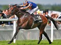 Order Of St George and Stradivarius Clash In Ascot Gold Cup