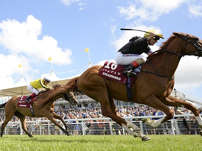 Stradivarius Recovering Well After Injury During Royal Ascot ... Image 1