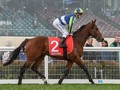 Diamond Jubilee Winner Merchant Navy Not In Play For Everest