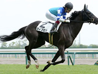 Review: Gr.1 Takarazuka Kinen 2018 Image 3