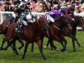 Royal Ascot 2018 Moments: Trainer Wattel Finally Sees Light At Royal Ascot After A 30 Year Wait