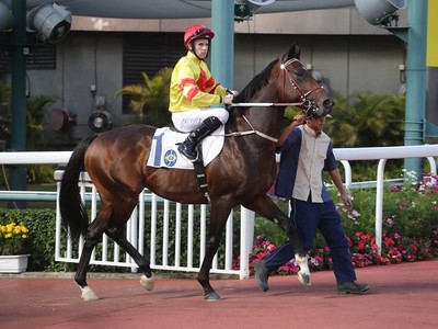 Clipperton Hopes Rivet Aces Waratah Handicap In Happy Valley Image 1