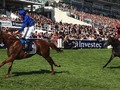 Appleby Unfazed By Masar Queries