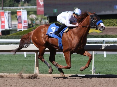 Justify Is Still On Holiday Image 1