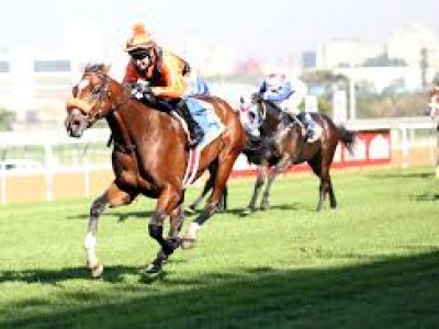 Abashiri Suffers Career Ending Injury During Durban July 201 ... Image 1