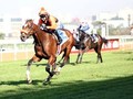 Abashiri Suffers Career Ending Injury During Durban July 2018