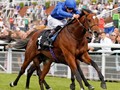 Best Solution Wins G2 At Newmarket