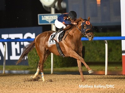 Pavel And Mind Your Biscuits Could Do Battle In Whitney Image 2