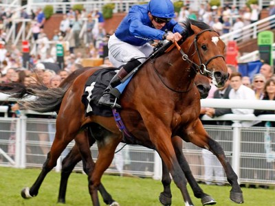 Best Solution Ends Saeed Bin Suroor’s Nine Month Winless Dro ... Image 1