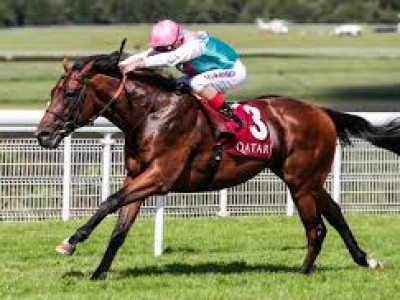 Preview: Gr.1 Sussex Stakes (Goodwood Festival) Image 2