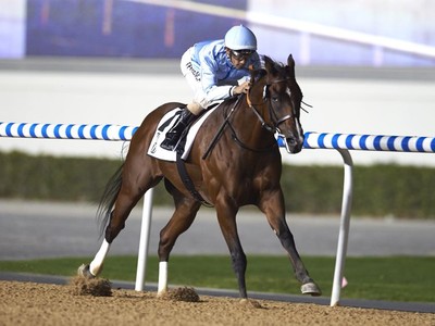 Racing At Meydan Domestic Season Prize Money Increased Image 1