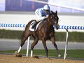 Racing At Meydan Domestic Season Prize Money Increased