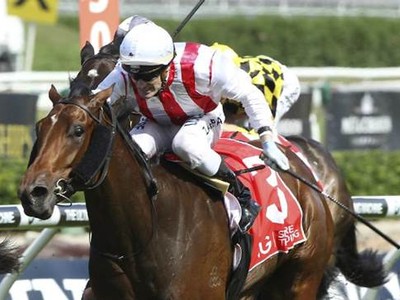 Shoals Surprises Freedman In Trial As Everest Pressure Mount ... Image 1