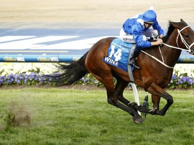 Winx Delights With Career Best Trial Image 1