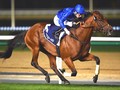 A Godolphin Record breaker With Melbourne In His Sights