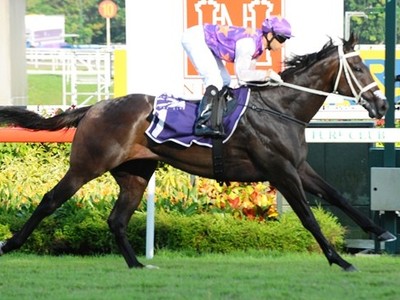 Former Singapore Horse of the Year May Be Due to Debut In Ne ... Image 1