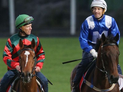 Interview: Mcevoy And Redzel A Partnership Made In Heaven Image 2