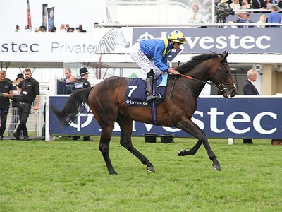 Preview: Juddmonte International Stakes (2018) Image 1