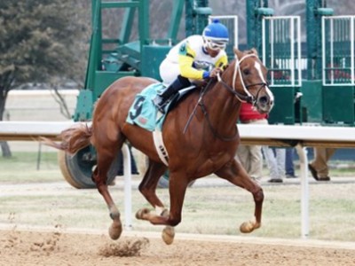 #ThisWeekInThoroughbreds Image 1