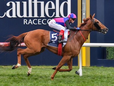 Preview: Gr.1 Memsie Stakes 2018 Image 3