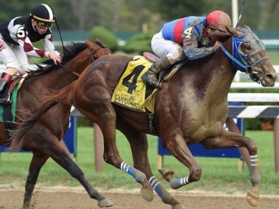 Review: Woodward Stakes 2018 Image 2