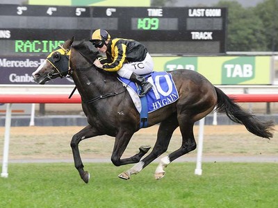 Trapeze Artist Carrying More For Theo Marks Stakes Image 1