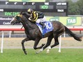 Trapeze Artist Carrying More For Theo Marks Stakes