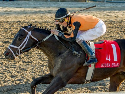 Girvin Goes To Ocala Image 1