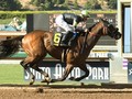 Ransom the Moon to Be Retired After Breeders' Cup Sprint