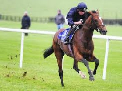 O'Brien Hopes Kew Gardens Will Blossom In Classic Image 2