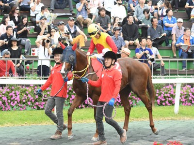 Preview: Keeneland Korea Sprint 2018 Image 3