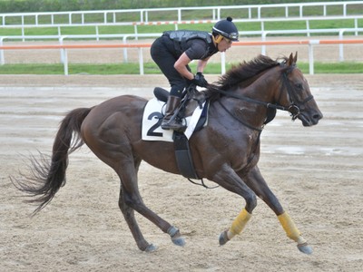 Preview: Keeneland Korea Sprint 2018 Image 2