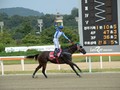 Preview: Keeneland Korea Sprint 2018