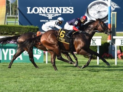 Bravo Makes Proforma Perform To Win Kentucky Downs Turf Spri ... Image 2