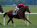 Bravo Makes Proforma Perform To Win Kentucky Downs Turf Sprint