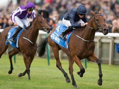 Preview: Matron Stakes 2018 Image 3