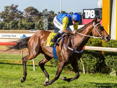 Preview: G.1 Makybe Diva Stakes 2018 Image 2