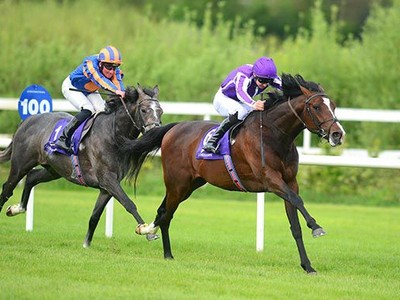 Preview: Gr.1 St Leger Stakes 2018 Image 1