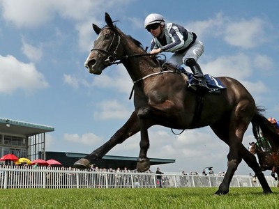 Alpha Centauri And Saxon Warrior Retired With Injuries Image 1